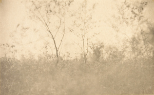 Joseph Keiley - Spring