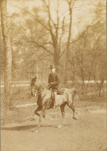 Louis Jean Delton - Cavalier