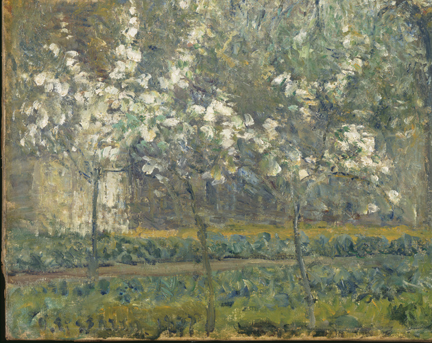 絵画 Camille Pissarro Printemps, Pruniers en Printemps. Pruniers en fleurs - Camille Pissarro | Musée d'Orsay