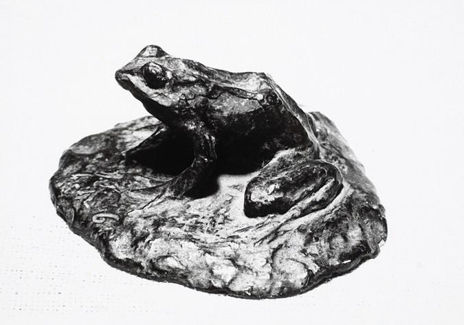 Henry de Waroquier - Grenouille