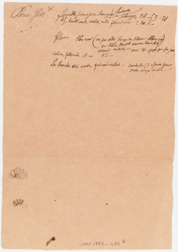 Emile Gallé - Mention manuscrite