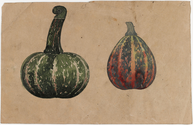 Emile Gallé - Deux vases-courges