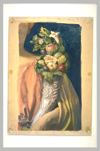 John La Farge - Etude d'une corne d'abondance