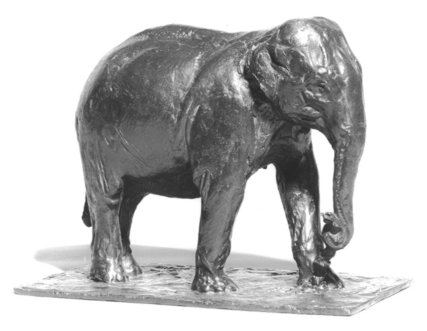 Roger Godchaux - Eléphant