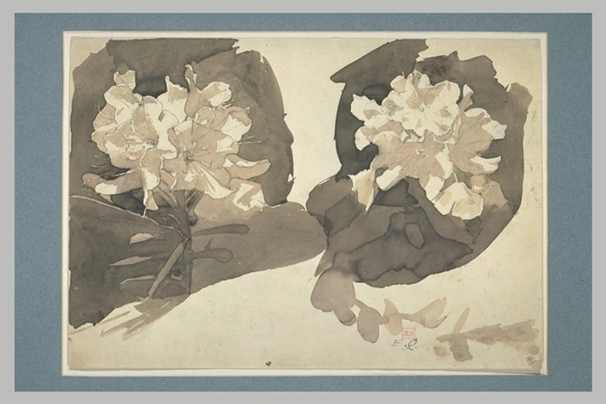 Ernest Quost - Deux fleurs de rhododendron avec feuilles