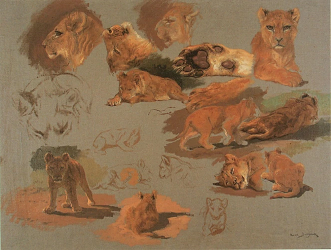 Rosa Bonheur - Dix-huit études d'après un jeune lion, têtes et pattes