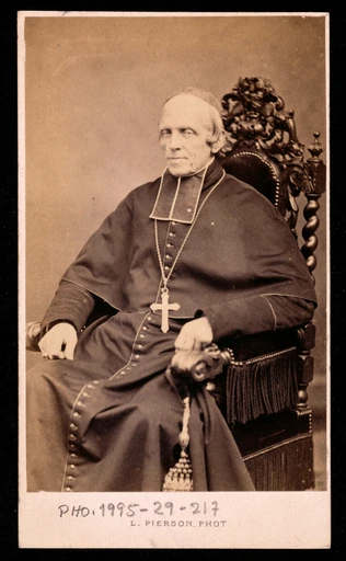 Cardinal de Bonnechose - Pierre-Louis Pierson