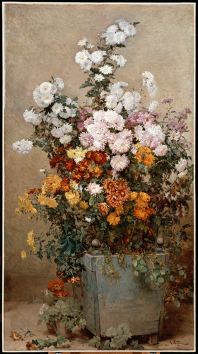 Alfred Renaudin - Chrysanthèmes