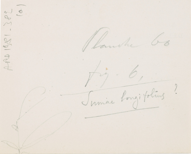 Victor Ruprich-Robert - Notice et dessins
