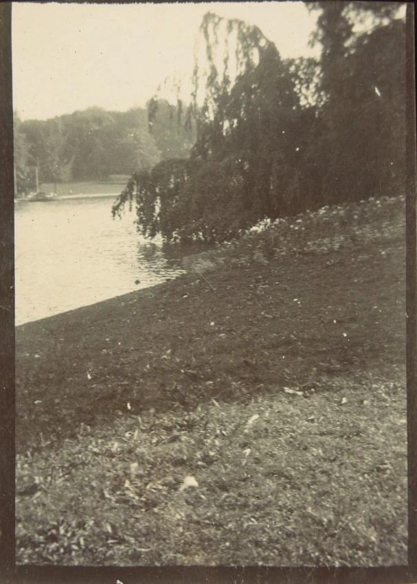 René Lalique - Bois de Boulogne