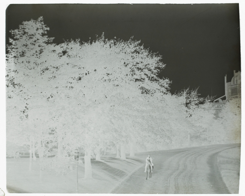 Paul Burty Haviland - Cavalier dans un parc