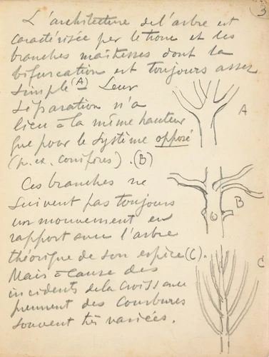 Arbres - Eugène Grasset