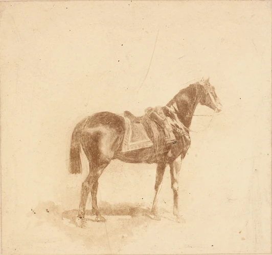 Cheval Etalon 1892 Huile Sur Toile André Marchand Peintre 18