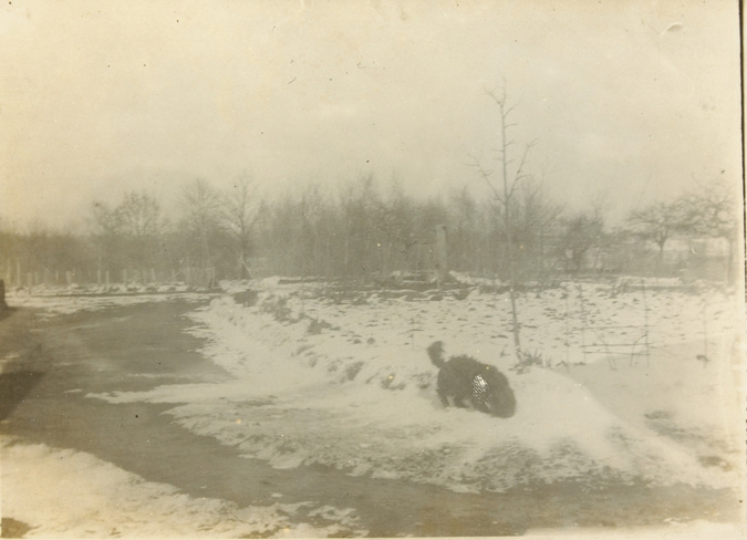 Anonyme - Vue d'un jardin sous la neige, avec un chien
