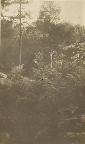 Bodmer - Paul Cézanne au milieu des fougères dans la forêt de Fontainebleau
