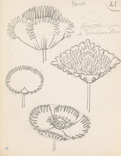 Eugène Grasset - Fleurs de pavot géométrisées