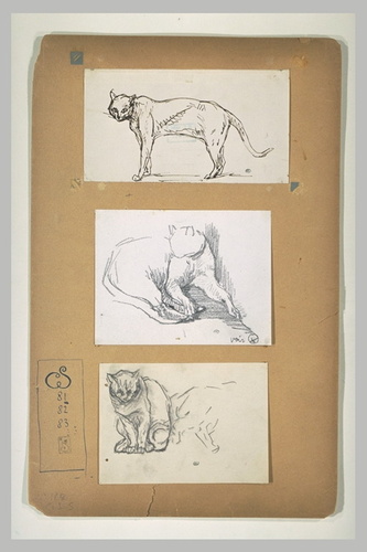 Théophile Alexandre Steinlen - Chat debout de profil à gauche