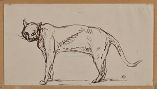 Théophile Alexandre Steinlen - Chat debout de profil à gauche