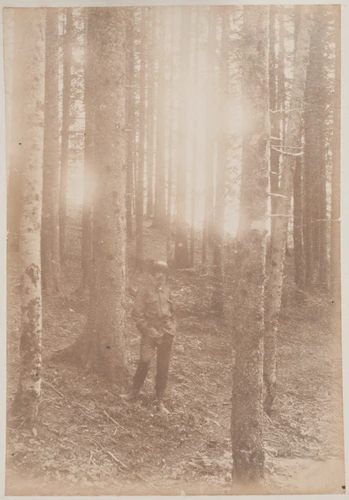 Anonyme - Henry Lerolle debout, dans un bois