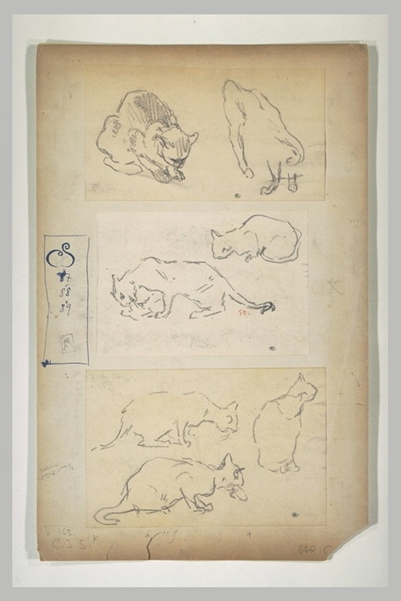 Théophile Alexandre Steinlen - Deux chats