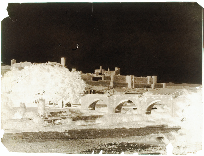 Gustave Le Gray - Carcassonne ( Aude) - Vue générale des remparts, prise de l'ou...