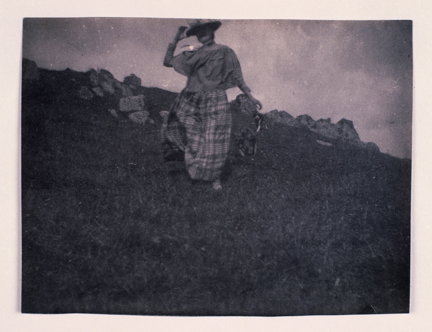 Henri Rivière - Madame Rivière de face, marchant avec son chien dans un paysage ...
