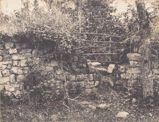 Eugène Cuvelier - Muret et broussailles