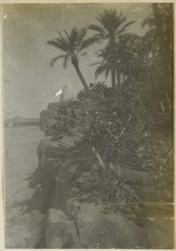 Henri Evenepoel - Vue d'une palmeraie près de Biskra