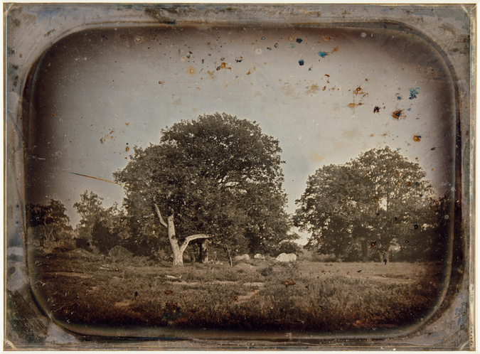 Anonyme - Grands chênes, forêt de Fontainebleau (?)