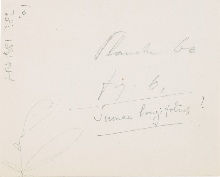 Victor Ruprich-Robert - Notice et dessins