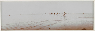 Constant Puyo - Roscoff, pêche à la crevette