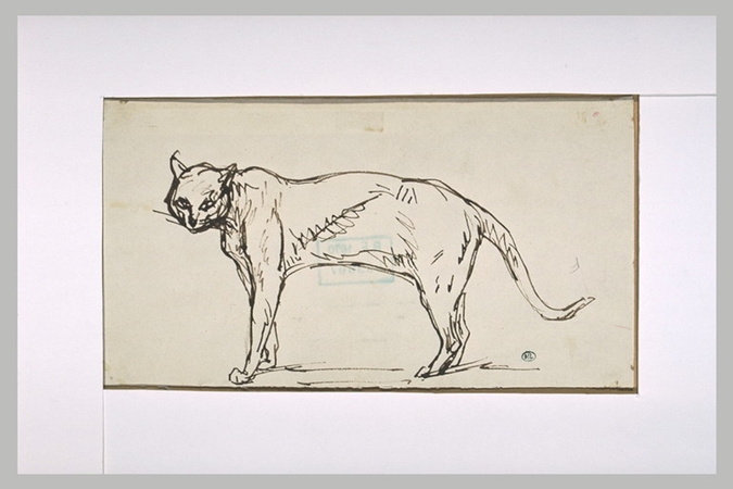 Théophile Alexandre Steinlen - Chat debout de profil à gauche