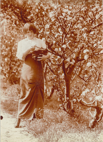 Jeune femme examinant les fleurs d'un arbre fruitier