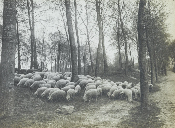 Charles Augustin Lhermitte - France, un troupeau de moutons en sous-bois