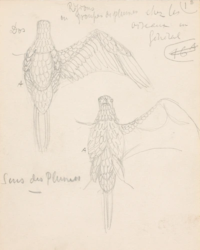 Eugène Grasset - Oiseaux aux ailes déployées