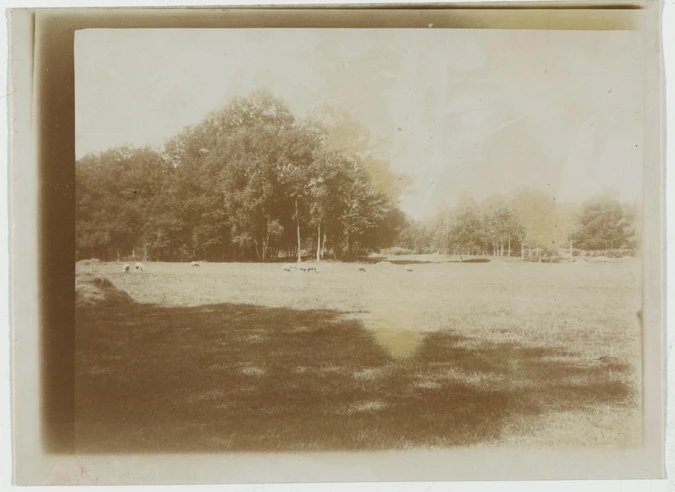 René Lalique - Parc de la Benneterie, les moutons