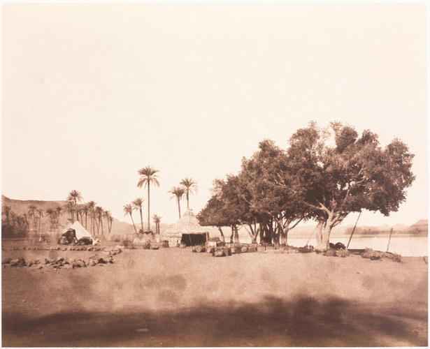 Félix Teynard - Korósko - Sycomores et campement d'une caravane pour le Sennaar
