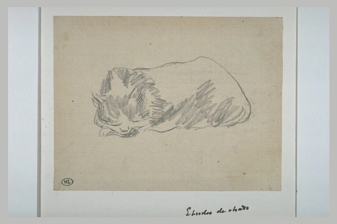 Edouard Manet - Chat couché