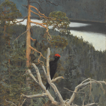 Image d'illustration
