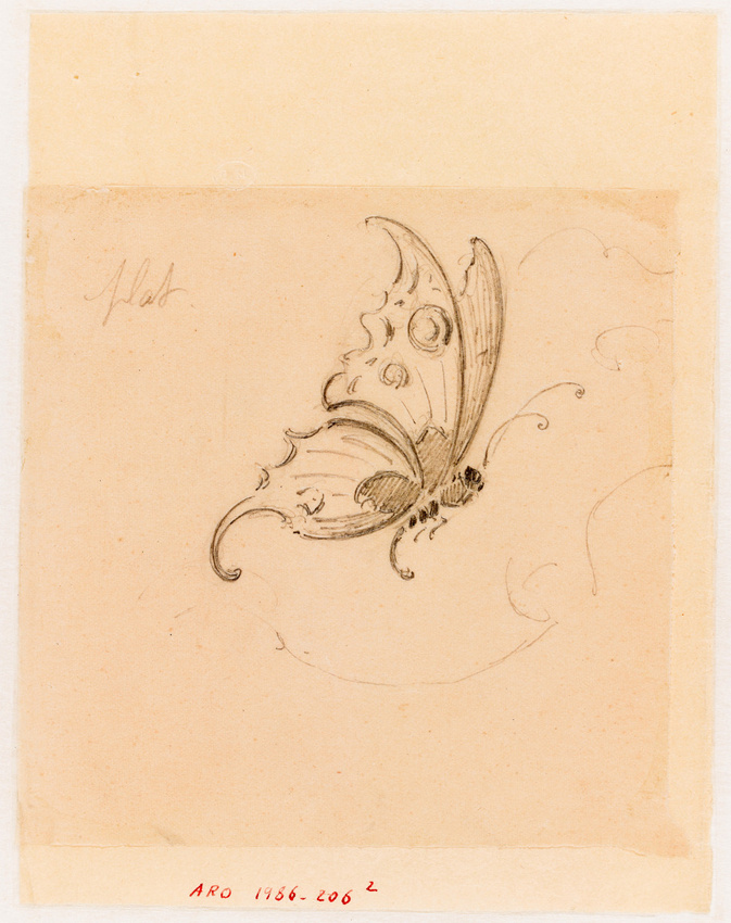 Emile Gallé - Poncif : grand papillon en vol dans un cartouche esquissé