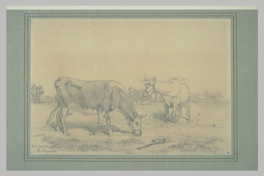 Dessin Original XIXe Siècle "Deux Chevaux Au Pâturage" Vers 1890 - Crayon Réalisme - Format 25x28.2 Cm - Non Signé