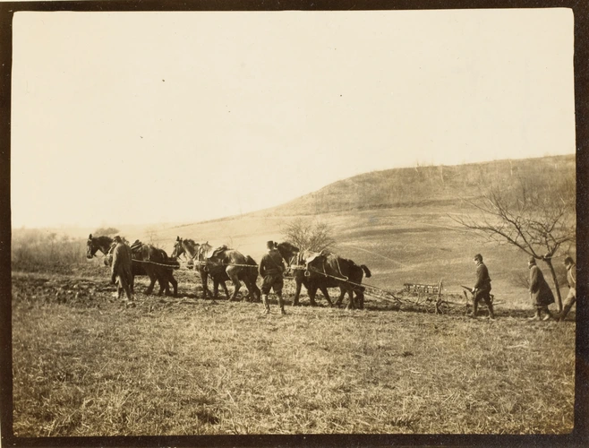 Anonyme - Travaux de culture dans le vallon de Dhuizel, avril 1915