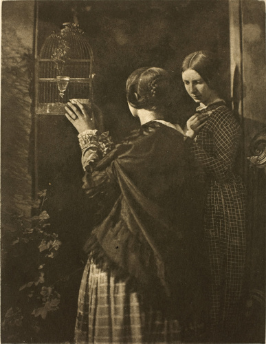 David Octavius Hill - The Birdcage