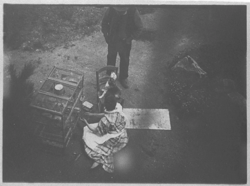 Henri Rivière - Madame Rivière assise par terre devant une cage (photographie pr...