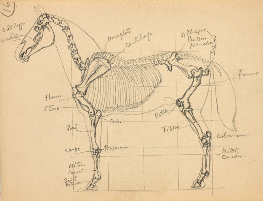 Eugène Grasset - Un cheval