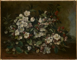 Branche de pommier en fleurs - Gustave Courbet