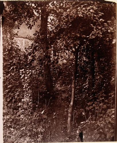Edmond Lebel - Etude d'après nature, feuillage et arbres