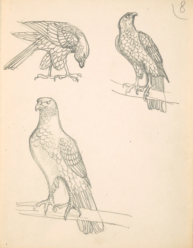 Eugène Grasset - Perroquets de trois-quarts sur un perchoir
