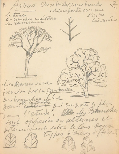 Eugène Grasset - Arbre et feuille