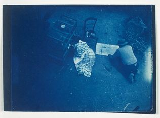 Madame Rivière étendue devant une cage, un paysan accroupi à ses côtés (photographie prise de l'étage de "Landiris") - Henri Rivière